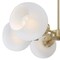 Westinghouse Chandelier 60W 6-Light Dorney Champagne Brass Frosted Glass 6128100 - alternate 3